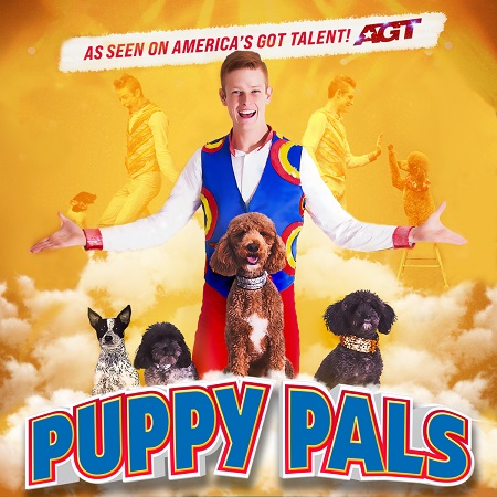 Puppy Pals Live!